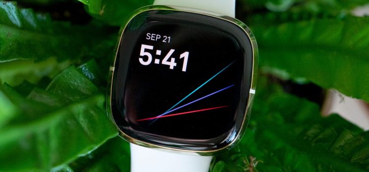 Fitbit Sense review: An ambitious smartwatch that’s getting better with time