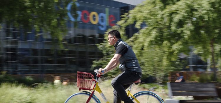 Google’s new union shows tech worker activism is getting organized