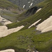 Border Disputes Threaten Climate Science in the Himalayas