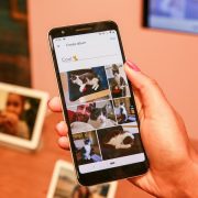Google Photos is ending unlimited free storage next week. Here’s what to know