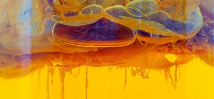 Kombucha Cultures Could Be the Key to Better Water Filters