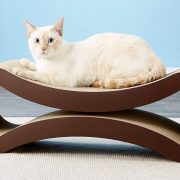 23 Best Cat Toys and Supplies (2022): Scratchers, Window Perches, Modern Furniture, Etc