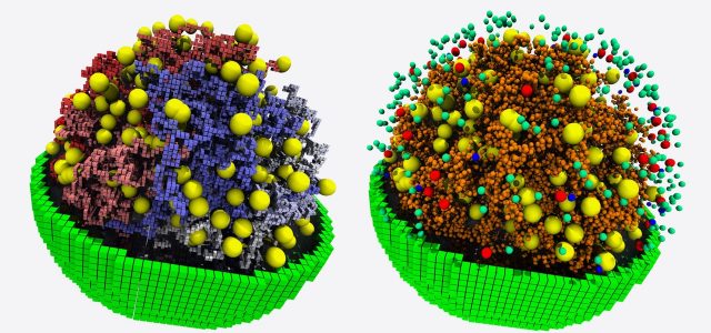 The Most Complete Simulation of a Cell Probes Life’s Hidden Rules