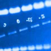 AI software helps bust image fraud in academic papers