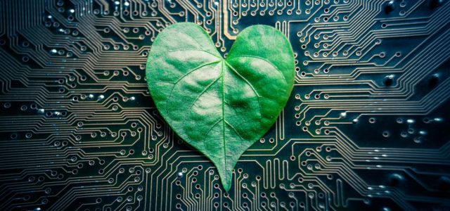 How tech can transition beyond greenwashing