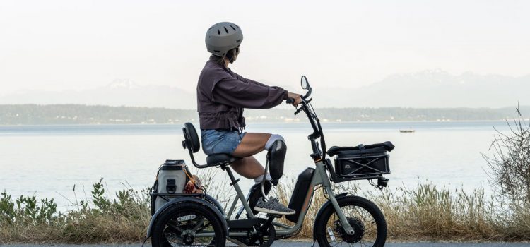 Rad Power Bikes’ RadTrike Brings Electric Mobility to More People