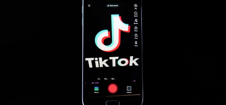 Why Are US States Going After TikTok?     – CNET