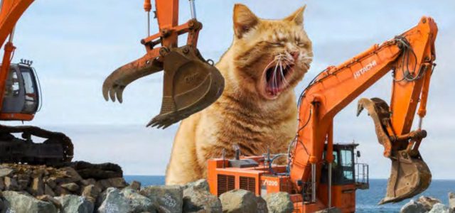 US Army Corps of Engineers Gives Master Class in Poorly Photoshopping a Cat Calendar