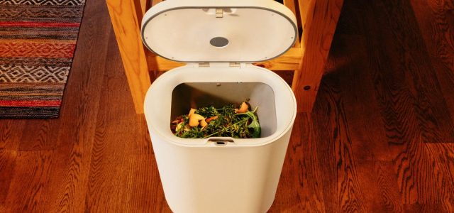 Composting Is So Over. This New Bin Turns Kitchen Scraps Into Chicken Feed