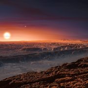 Life on the ‘Terminator’: What Survival on the Nearest Exoplanet Might Look Like
