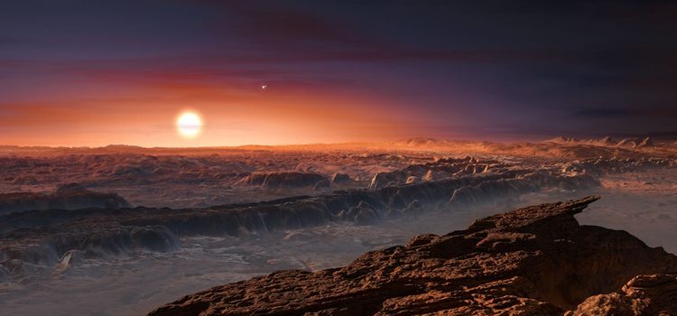 Life on the ‘Terminator’: What Survival on the Nearest Exoplanet Might Look Like