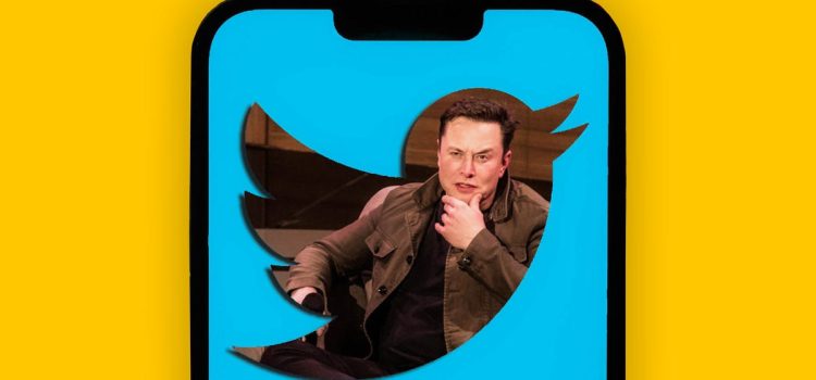 Twitter Feeds Suddenly Flooded With Elon Musk Tweets and Only Musk Tweets