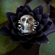 Unkillable UEFI malware bypassing Secure Boot enabled by unpatchable Windows flaw