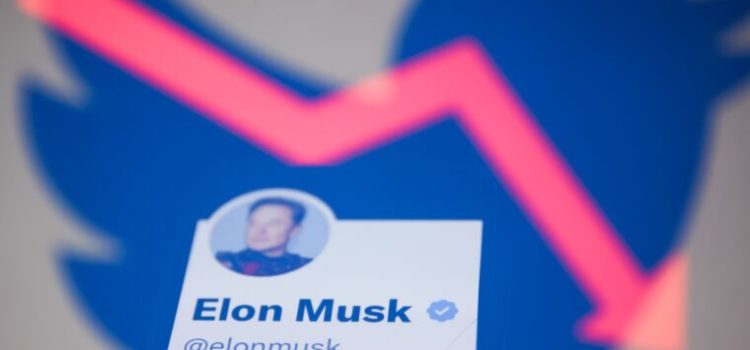 Twitter revenue, earnings reportedly fell 40% shortly after Musk buyout