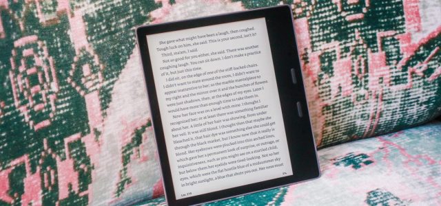 Best Gifts for Readers in 2023: Kindle, iPad Mini, Kobo and More