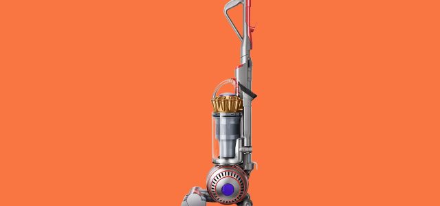 Dyson Ball Animal 3 Extra Review: High Suction, High Capacity