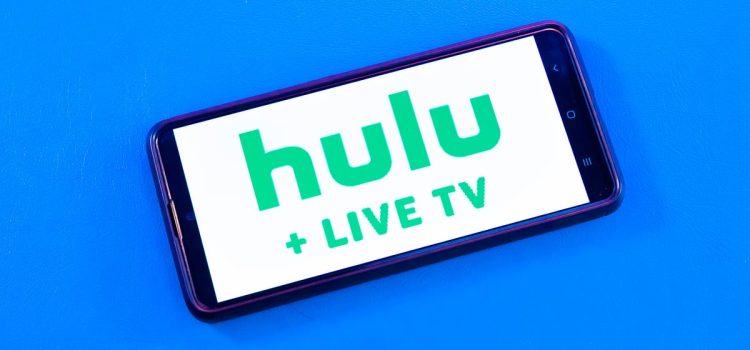 Hulu Plus Live TV Will Soon Offer Local PBS and Magnolia Network