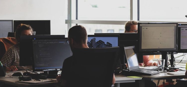 How to Build an Efficient Data Team to Work with Public Web Data