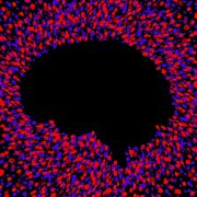 This Showdown Between Humans and Chatbots Could Keep You Safe From Bad AI