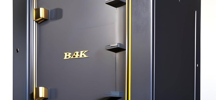 Best Safe for Money in 2023