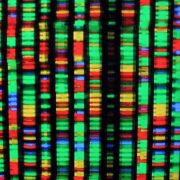 Best DNA Test for 2023: AncestryDNA vs. 23andMe and More