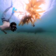 Hands-On With Insta360 X3 and Invisible Dive Case