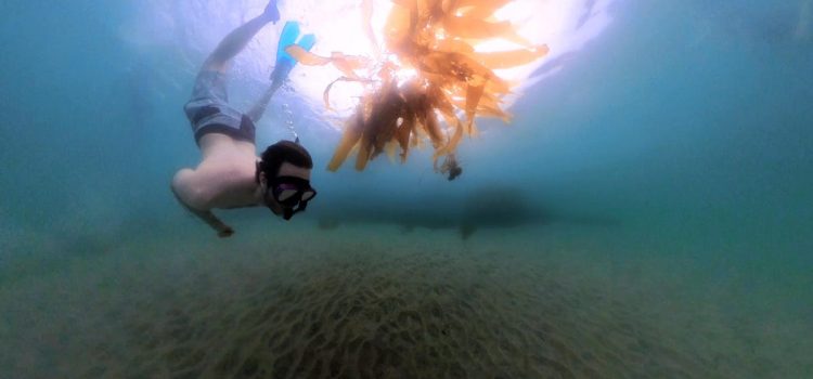 Hands-On With Insta360 X3 and Invisible Dive Case