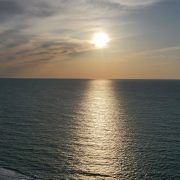 This Heat Is Shaking the Very Foundation of the Ocean Food Web