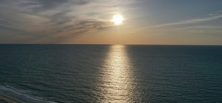 This Heat Is Shaking the Very Foundation of the Ocean Food Web