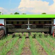 Mother plucker: Steel fingers guided by AI pluck weeds rapidly and autonomously