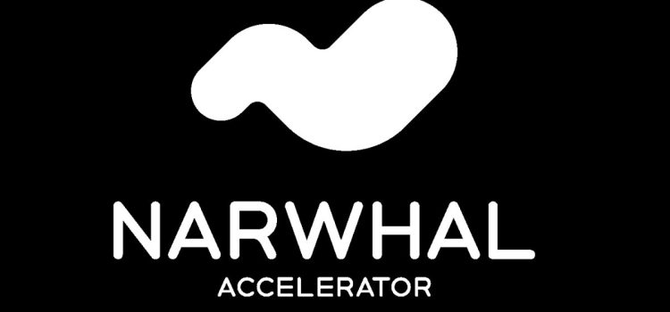 Narwhal Accelerator launches to support game dev startups