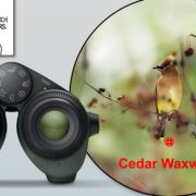Famous xkcd comic comes full circle with AI bird-identifying binoculars