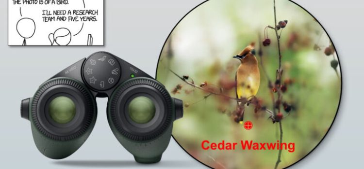 Famous xkcd comic comes full circle with AI bird-identifying binoculars