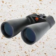 Best Binoculars (2024): Nikon, Celestron, Swarovski, Zeiss