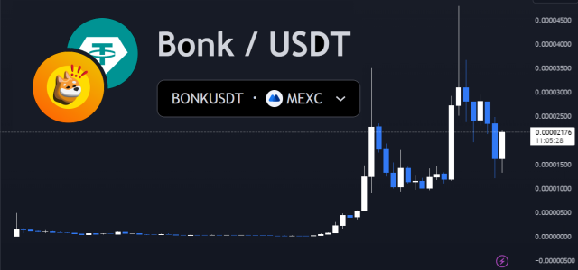 Bonk Coin Price Up 40%, Is Slothana The Next Solana Meme Token To Explode