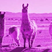 LLMs keep leaping with Llama 3, Meta’s newest open-weights AI model
