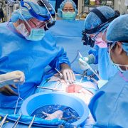 Woman Who Received Pig Kidney Transplant Has It Removed