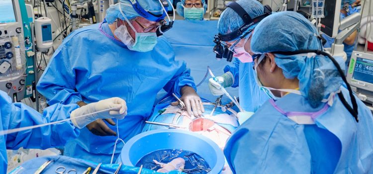 Woman Who Received Pig Kidney Transplant Has It Removed