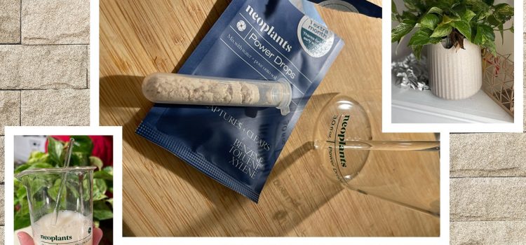 Neoplants Neo Px Review: This Plant Isn’t as Good as an Air Purifier