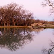 Best Internet Providers in McKinney, Texas