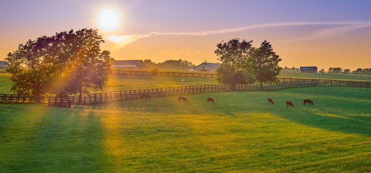 Best Solar Panel Installation Companies in Kentucky