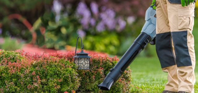 Best Leaf Blowers for 2024