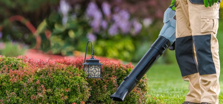 Best Leaf Blowers for 2024