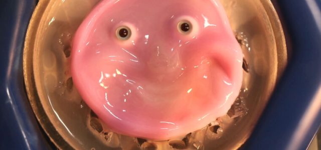 Researchers craft smiling robot face from living human skin cells