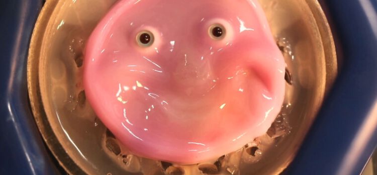 Researchers craft smiling robot face from living human skin cells