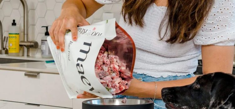 Best Dog Food Delivery Services for 2024