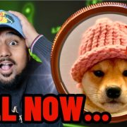 WIF Price Plunges – Can This Solana Meme Coin Bounce Back and Reach $5?