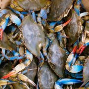 Best Internet Providers in Maryland