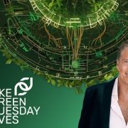 David Hasselhoff joins Make Green Tuesday Moves to fight climate change with games