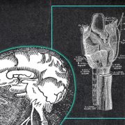 The Vagus Nerve’s Crucial Role in Creating the Human Sense of Mind